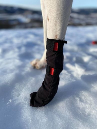 Bilde av VIP Dogwear Finnmark potesokk høy 4pk BL Black